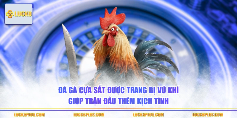 Đá gà cựa sắt được trang bị vũ khí giúp trận đấu thêm kịch tính
