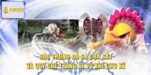 Đặc Trưng Đá Gà Cựa Sắt Và Quy Chế Trang Bị Vũ Khí Cho Kê