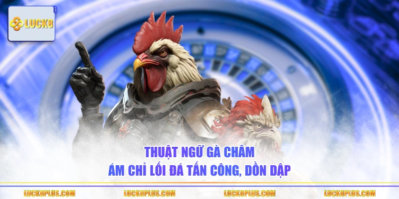 Thuật ngữ gà châm ám chỉ lối đá tấn công, dồn dập